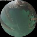 ./images/calvert/underwater/20260525/underwater20260525_053001M.jpg