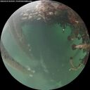 ./images/calvert/underwater/20260525/underwater20260525_053502M.jpg