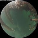 ./images/calvert/underwater/20260525/underwater20260525_054001M.jpg