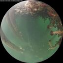 ./images/calvert/underwater/20260525/underwater20260525_055002M.jpg