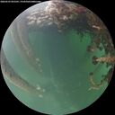 ./images/calvert/underwater/20260525/underwater20260525_055501M.jpg