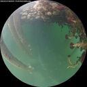 ./images/calvert/underwater/20260525/underwater20260525_060501M.jpg