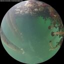 ./images/calvert/underwater/20260525/underwater20260525_061002M.jpg