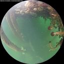 ./images/calvert/underwater/20260525/underwater20260525_062001M.jpg