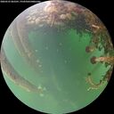 ./images/calvert/underwater/20260525/underwater20260525_062501M.jpg
