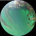 ./images/calvert/underwater/20260525/underwater20260525_064501M.jpg
