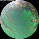 ./images/calvert/underwater/20260525/underwater20260525_065001M.jpg