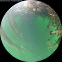./images/calvert/underwater/20260525/underwater20260525_065501M.jpg