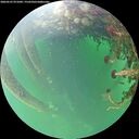 ./images/calvert/underwater/20260525/underwater20260525_071001M.jpg