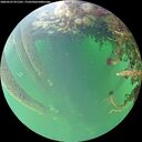 ./images/calvert/underwater/20260525/underwater20260525_071501M.jpg