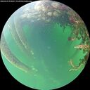 ./images/calvert/underwater/20260525/underwater20260525_072001M.jpg