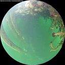 ./images/calvert/underwater/20260525/underwater20260525_072501M.jpg