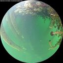 ./images/calvert/underwater/20260525/underwater20260525_073002M.jpg