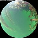 ./images/calvert/underwater/20260525/underwater20260525_075001M.jpg