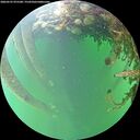 ./images/calvert/underwater/20260525/underwater20260525_075501M.jpg