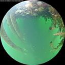 ./images/calvert/underwater/20260525/underwater20260525_080001M.jpg