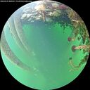 ./images/calvert/underwater/20260525/underwater20260525_080501M.jpg