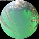 ./images/calvert/underwater/20260525/underwater20260525_081001M.jpg