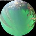 ./images/calvert/underwater/20260525/underwater20260525_082002M.jpg