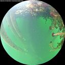 ./images/calvert/underwater/20260525/underwater20260525_082501M.jpg