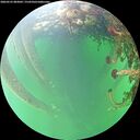 ./images/calvert/underwater/20260525/underwater20260525_083001M.jpg