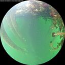./images/calvert/underwater/20260525/underwater20260525_083501M.jpg