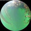 ./images/calvert/underwater/20260525/underwater20260525_084001M.jpg