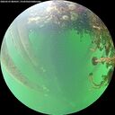 ./images/calvert/underwater/20260525/underwater20260525_084501M.jpg