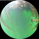 ./images/calvert/underwater/20260525/underwater20260525_085001M.jpg