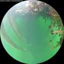 ./images/calvert/underwater/20260525/underwater20260525_090001M.jpg