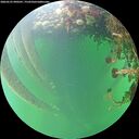 ./images/calvert/underwater/20260525/underwater20260525_090502M.jpg