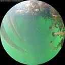 ./images/calvert/underwater/20260525/underwater20260525_091001M.jpg