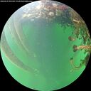 ./images/calvert/underwater/20260525/underwater20260525_091501M.jpg