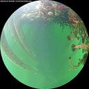 ./images/calvert/underwater/20260525/underwater20260525_092001M.jpg