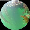 ./images/calvert/underwater/20260525/underwater20260525_093501M.jpg
