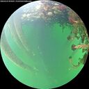 ./images/calvert/underwater/20260525/underwater20260525_095001M.jpg