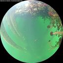 ./images/calvert/underwater/20260525/underwater20260525_100501M.jpg