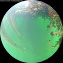 ./images/calvert/underwater/20260525/underwater20260525_101001M.jpg