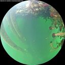 ./images/calvert/underwater/20260525/underwater20260525_102001M.jpg