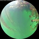 ./images/calvert/underwater/20260525/underwater20260525_102501M.jpg