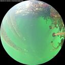 ./images/calvert/underwater/20260525/underwater20260525_103501M.jpg