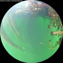 ./images/calvert/underwater/20260525/underwater20260525_104001M.jpg