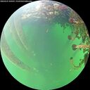 ./images/calvert/underwater/20260525/underwater20260525_104501M.jpg