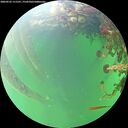 ./images/calvert/underwater/20260525/underwater20260525_111501M.jpg