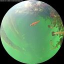 ./images/calvert/underwater/20260525/underwater20260525_113002M.jpg