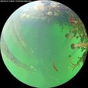 ./images/calvert/underwater/20260525/underwater20260525_114001M.jpg