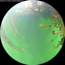 ./images/calvert/underwater/20260525/underwater20260525_114501M.jpg