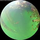 ./images/calvert/underwater/20260525/underwater20260525_115501M.jpg