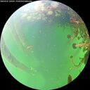 ./images/calvert/underwater/20260525/underwater20260525_120501M.jpg