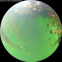 ./images/calvert/underwater/20260525/underwater20260525_121002M.jpg
